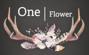 One Flower Floral